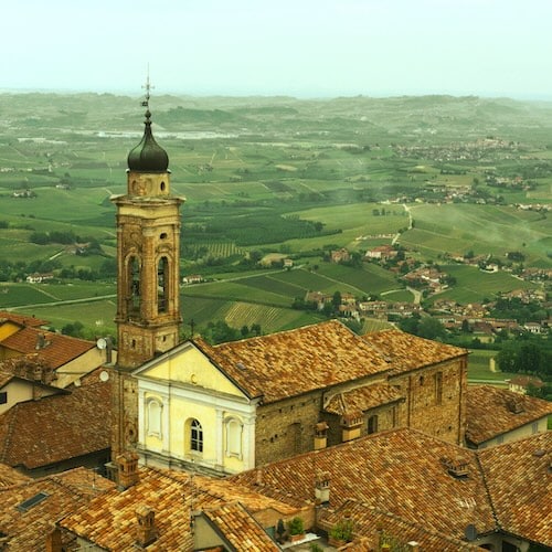 Therapsy in Cuneo, Piedmont