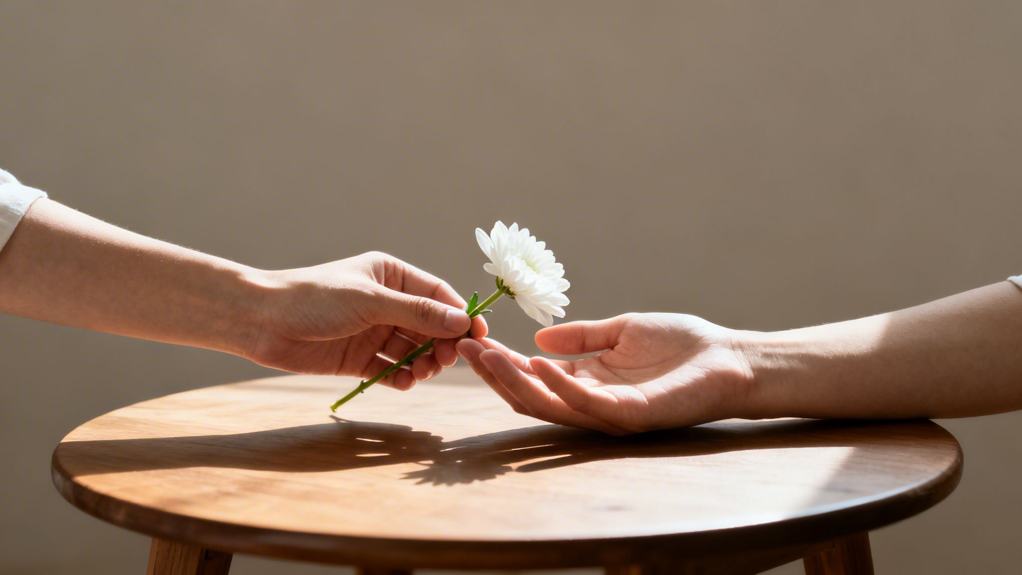 Close-up of hands exchanging a delicate white flower over a warm wooden surface in soft light.