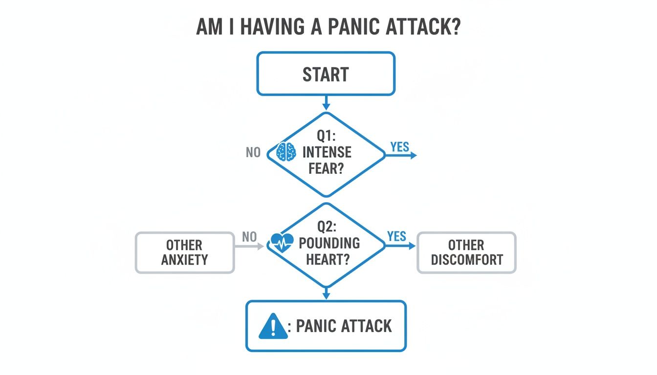 A diagnostic flowchart titled 'Am I Having a Panic Attack?' guides users based on symptoms.