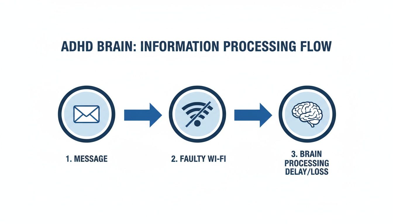 Diagram illustrating ADHD information processing flow with icons for message, faulty Wi-Fi, and brain processing delay/loss.