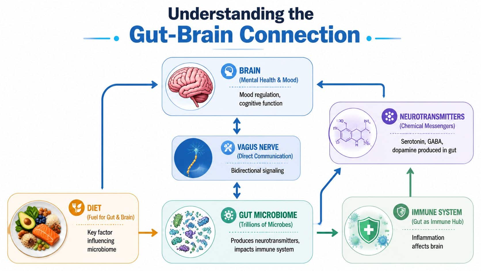 A diagram illustrating the Gut-Brain Connection through diet, microbiome, vagus nerve, immune system, and neurotransmitters.