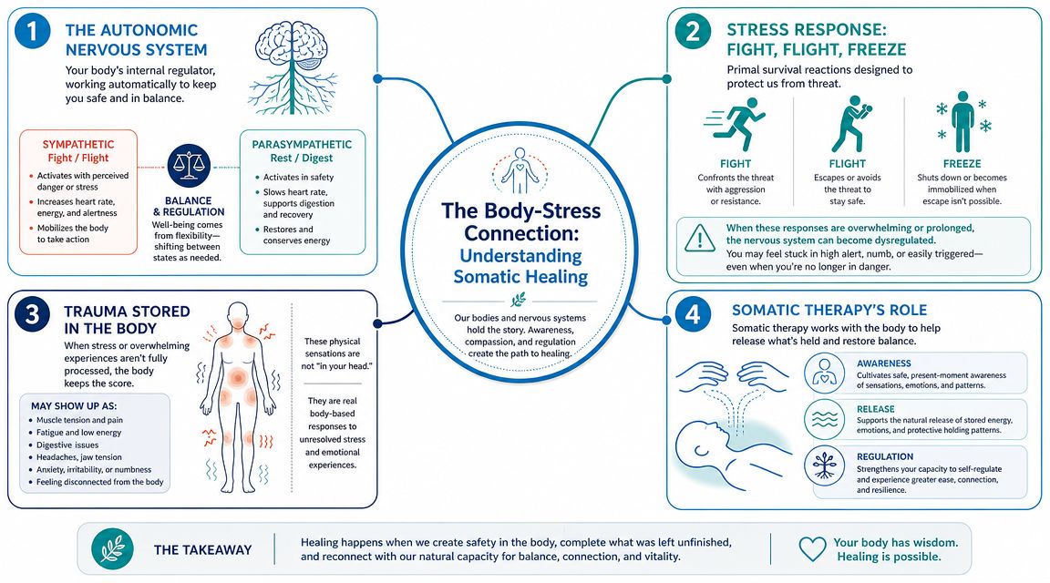 An infographic explaining the body-stress connection, the autonomic nervous system, trauma, and somatic therapy techniques for healing.