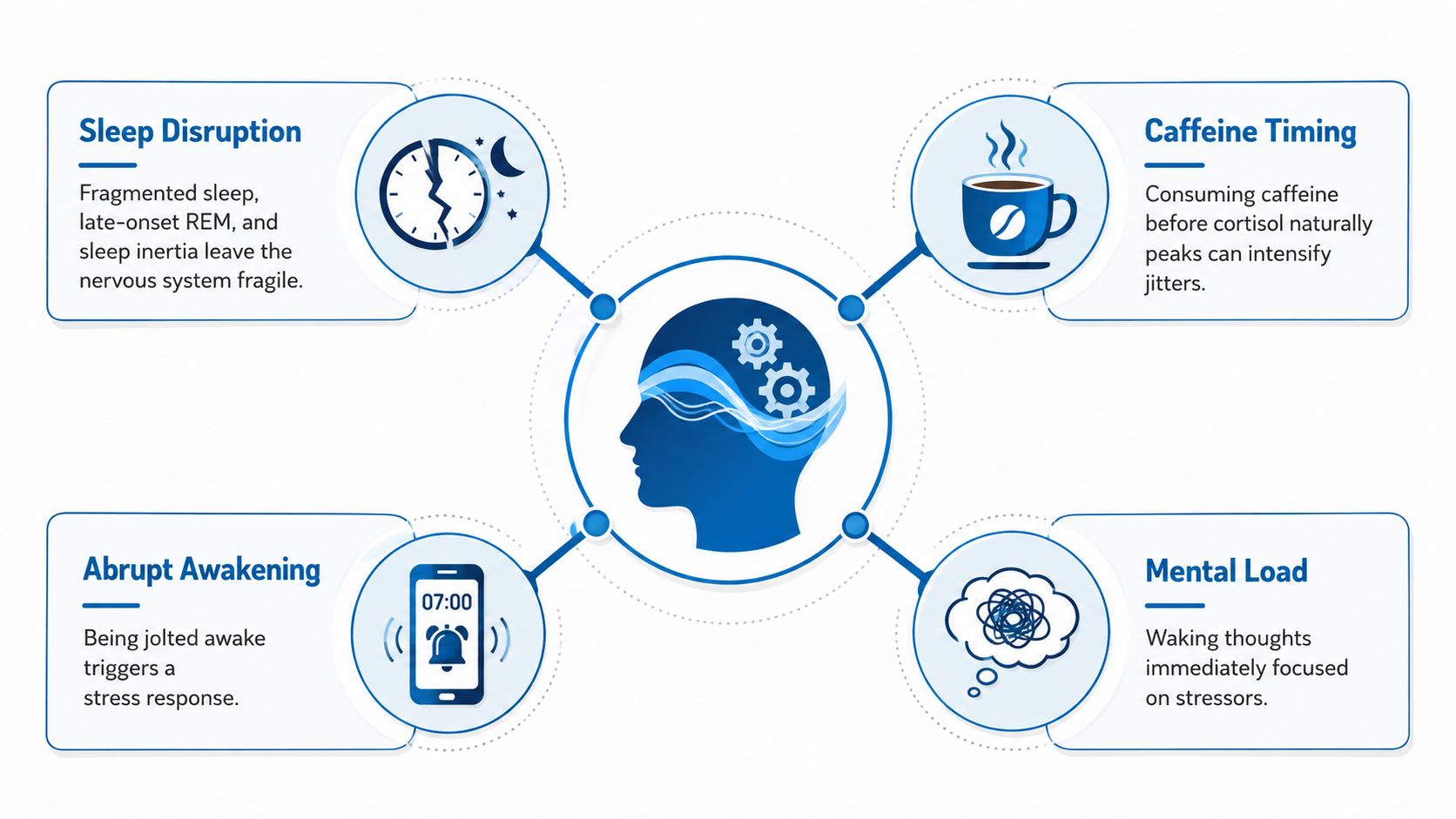 A diagram illustrating four common causes of morning anxiety including sleep disruption, caffeine timing, abrupt awakening, and mental load.